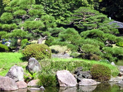 Типы японских садов